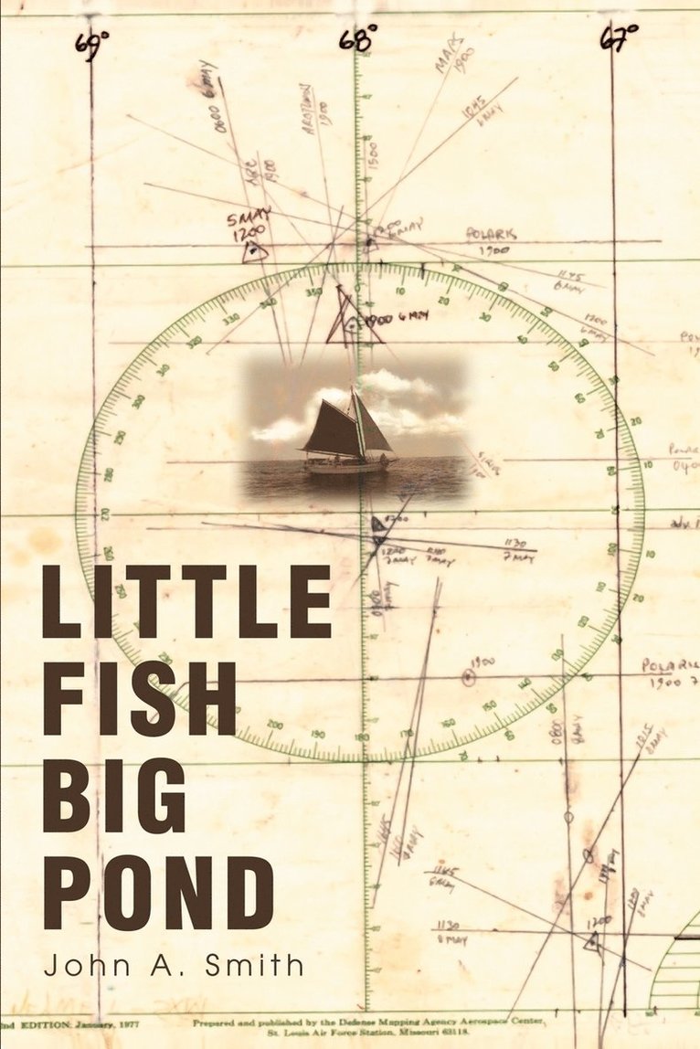 John a Smith, John a. Smith, John A. Smith - Little Fish Big Pond, Häftad
