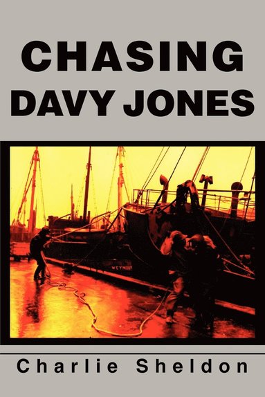 bokomslag Chasing Davy Jones