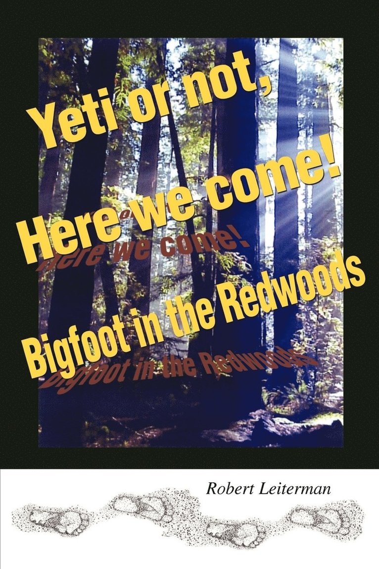 Robert Steven Leiterman - Yeti or not, Here we come!, Häftad