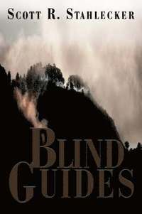 bokomslag Blind Guides