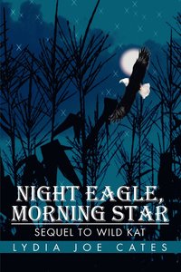 bokomslag Night Eagle, Morning Star