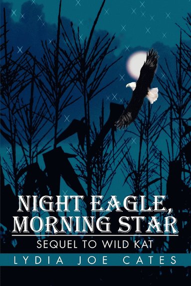 bokomslag Night Eagle, Morning Star