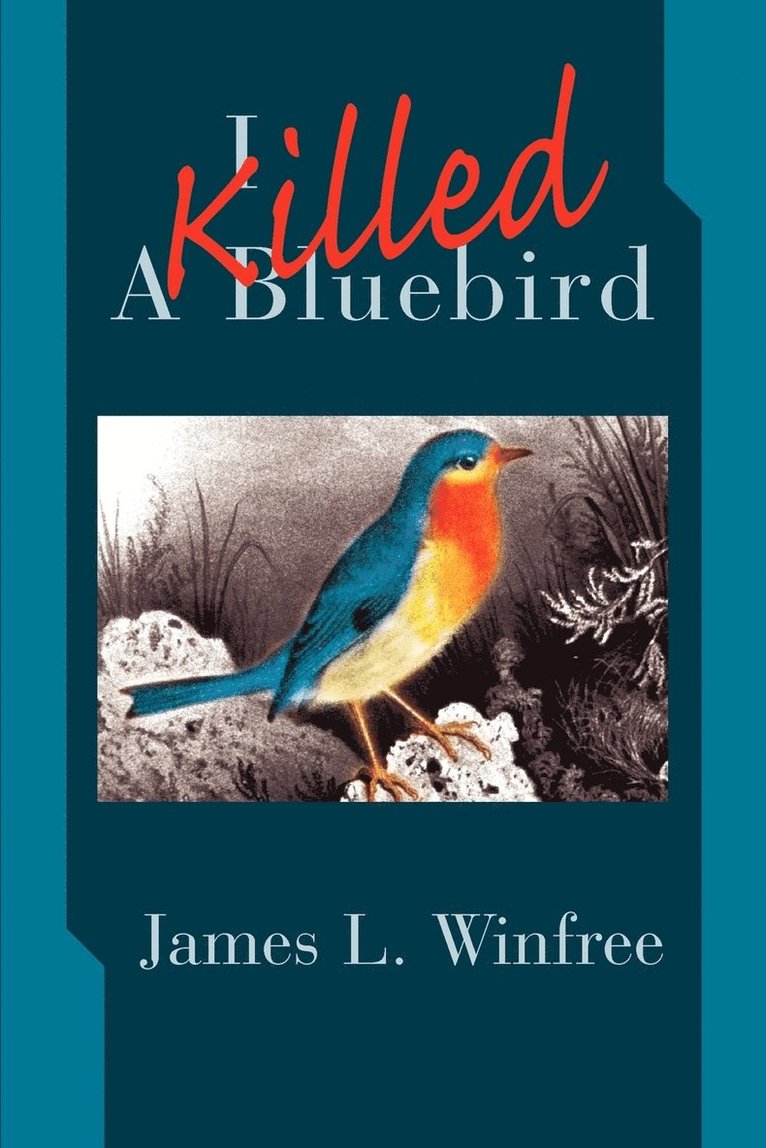 I Killed A Bluebird 1