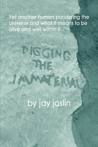 bokomslag Digging the Immaterial