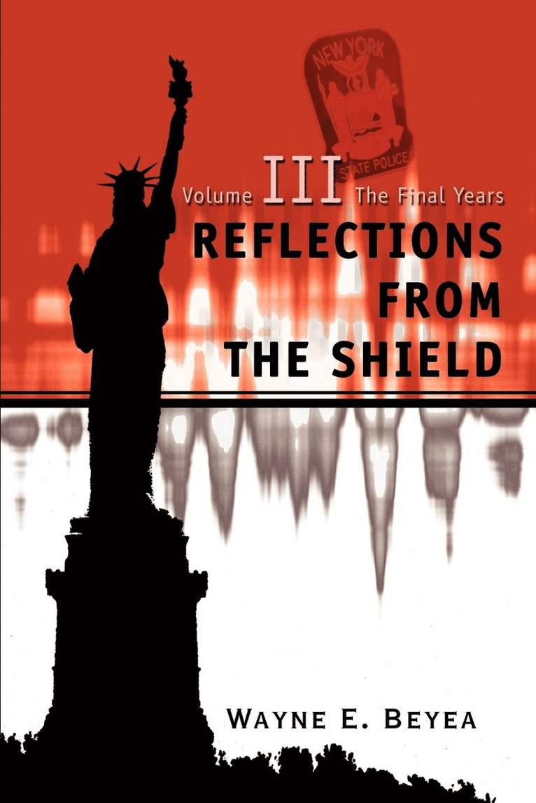 Reflections From The Shield 1