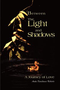 bokomslag Between The Light and Shadows