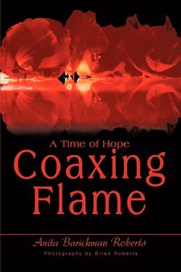 bokomslag Coaxing Flame