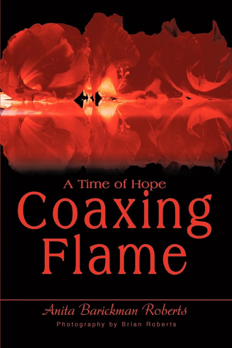 Anita Barickman Roberts - Coaxing Flame, Häftad