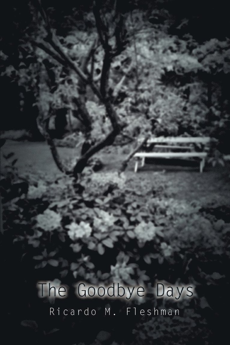Goodbye Days