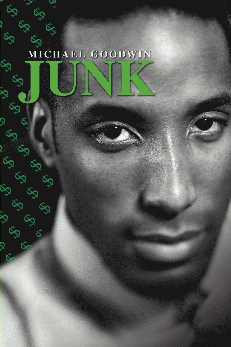 Michael Goodwin - Junk, Häftad