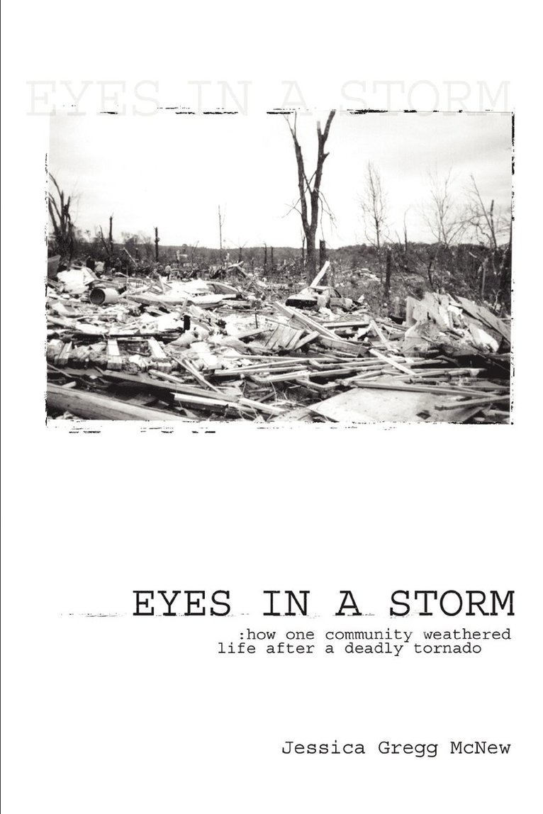 Eyes in a Storm 1