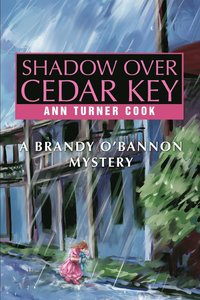 bokomslag Shadow Over Cedar Key