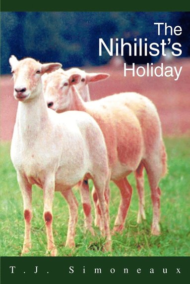 bokomslag The Nihilist's Holiday