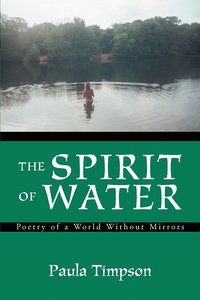 bokomslag The Spirit of Water