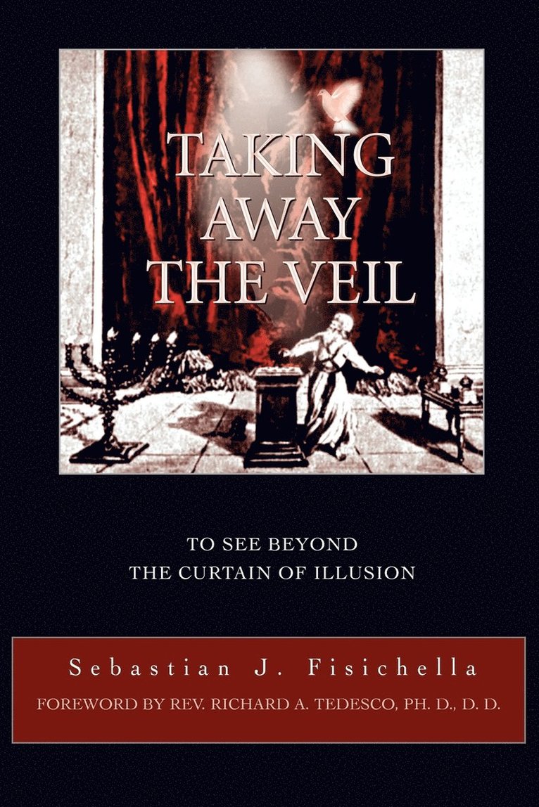 Sebastian J Fisichella, Sebastian J. Fisichella - Taking Away The Veil, Häftad