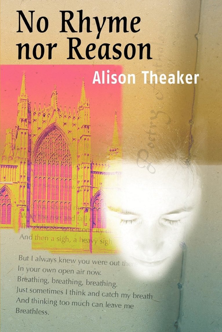 Alison Theaker - No Rhyme Nor Reason, Häftad