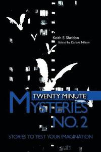 bokomslag Twenty Minute Mysteries No. 2