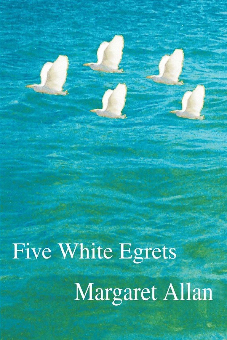 Five White Egrets 1