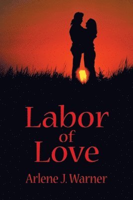 bokomslag Labor of Love