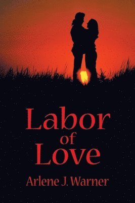 Arlene J Warner, Arlene J. Warner - Labor of Love, Häftad