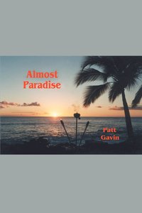 bokomslag Almost Paradise