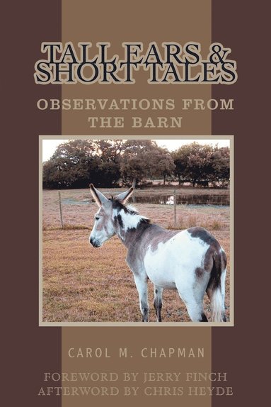bokomslag Tall Ears and Short Tales