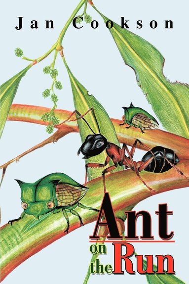 bokomslag Ant on the Run