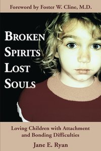 bokomslag Broken Spirits Lost Souls