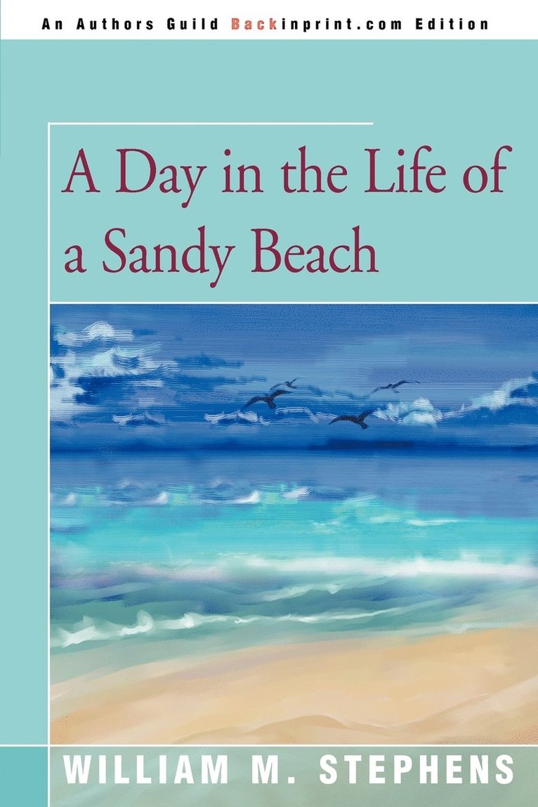 William M Stephens, William M. Stephens - Day in the Life of a Sandy Beach, Häftad