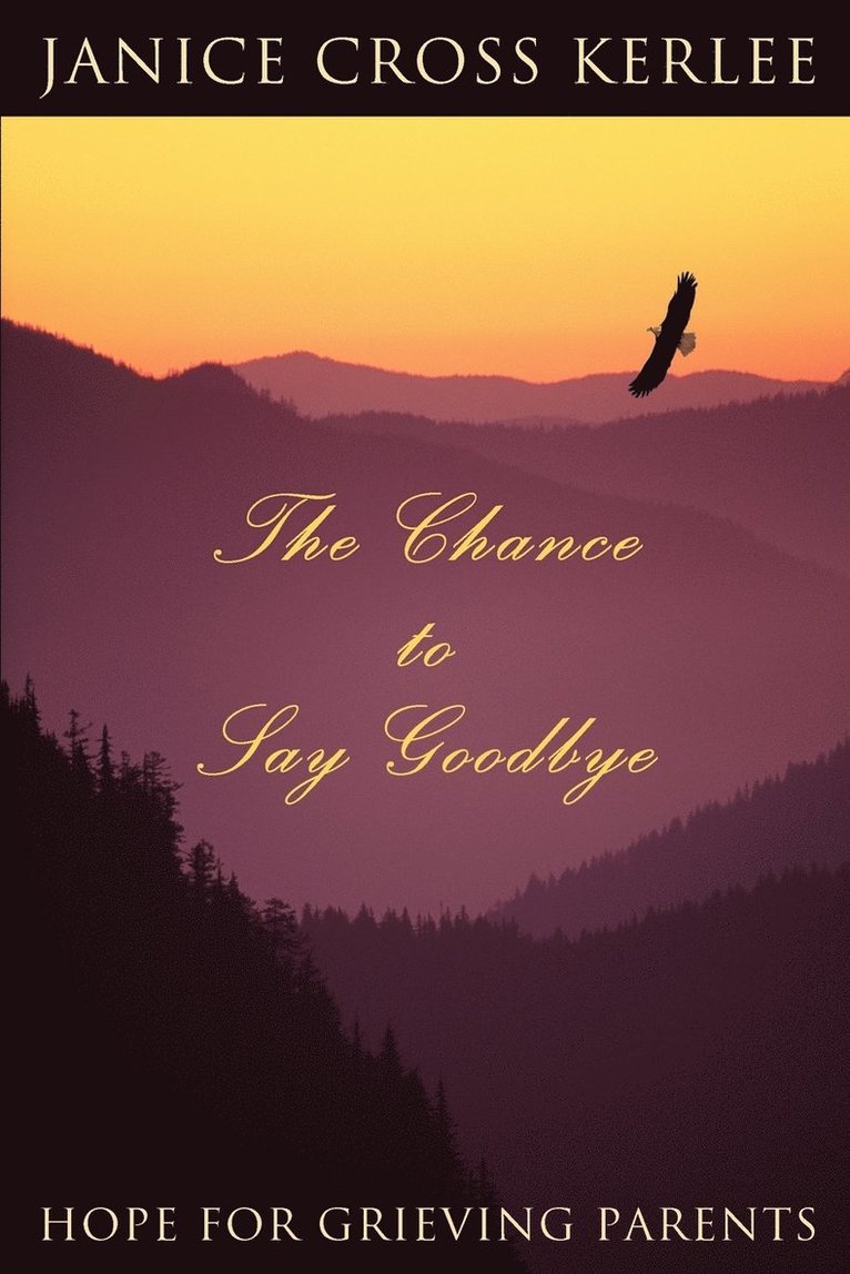 The Chance to Say Goodbye 1