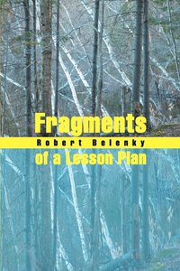bokomslag Fragments of a Lesson Plan