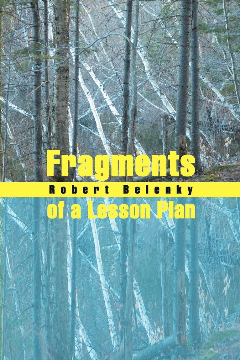 Fragments of a Lesson Plan 1