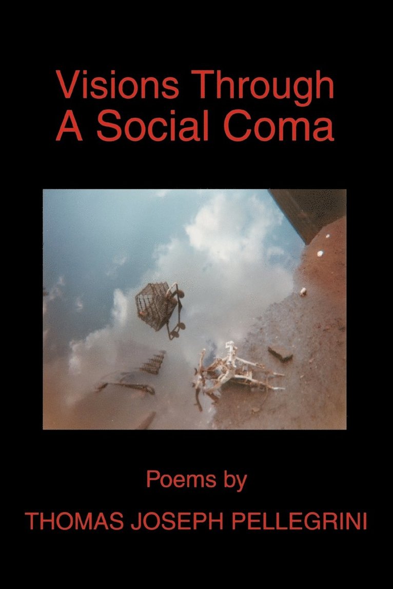 Thomas Joseph Pellegrini - Visions Through A Social Coma, Häftad