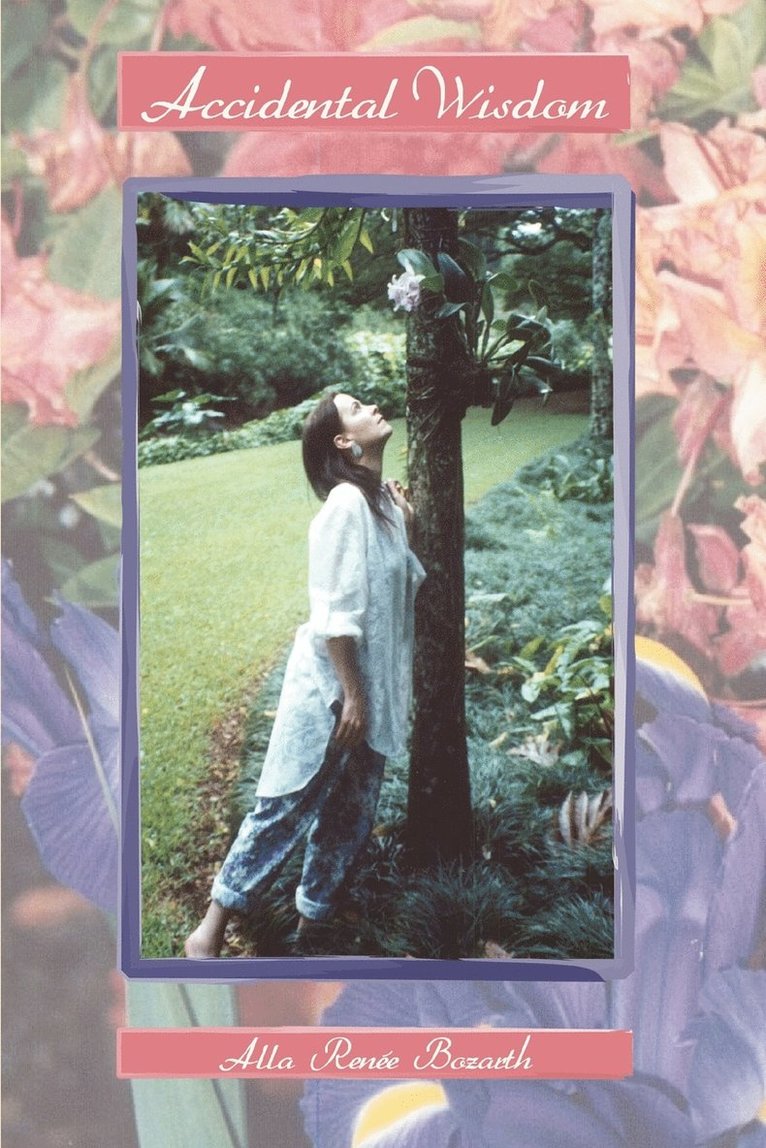 Alla Renee Bozarth - Accidental Wisdom, Häftad