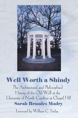 Sarah Brandes Madry - Well Worth a Shindy, Häftad