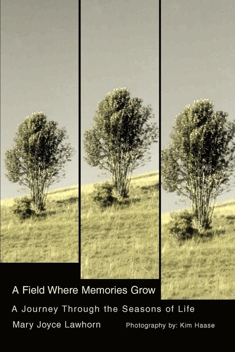 A Field Where Memories Grow 1
