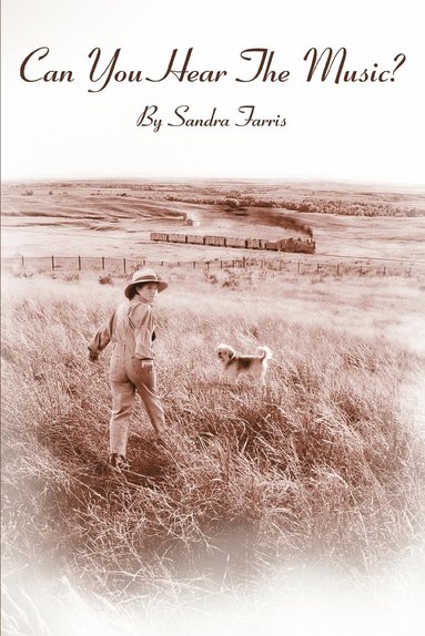 Sandra Farris - Can You Hear The Music?, Häftad