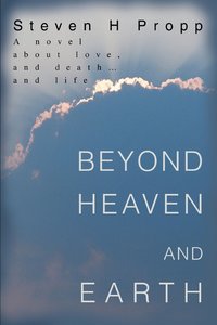 bokomslag Beyond Heaven and Earth