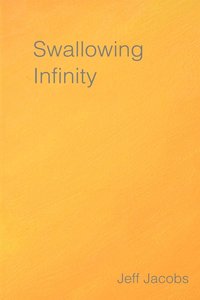 bokomslag Swallowing Infinity