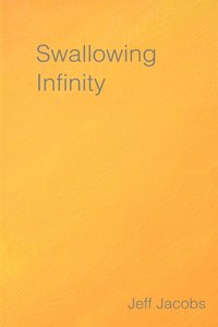 bokomslag Swallowing Infinity