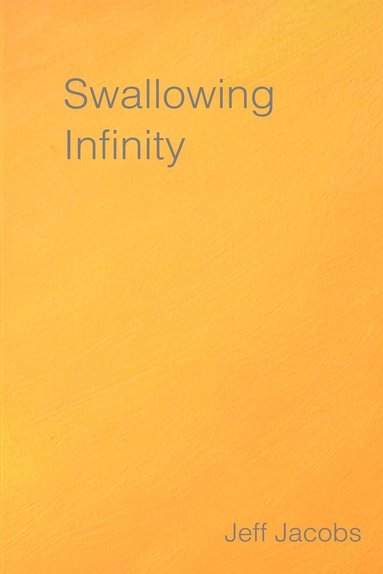 bokomslag Swallowing Infinity