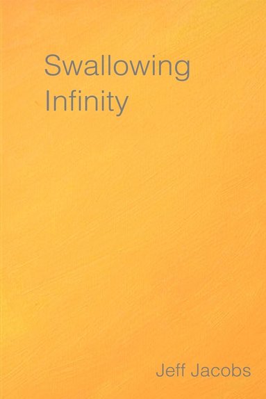 bokomslag Swallowing Infinity