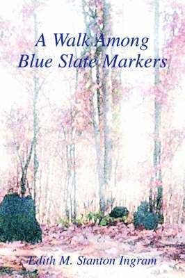bokomslag Walk Among Blue Slate Markers