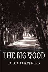 bokomslag The Big Wood