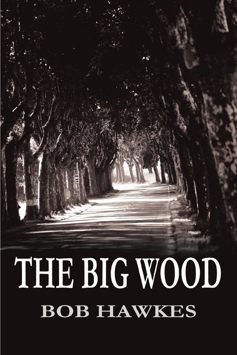 The Big Wood 1