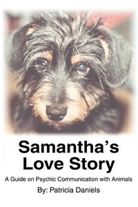 bokomslag Samantha's Love Story