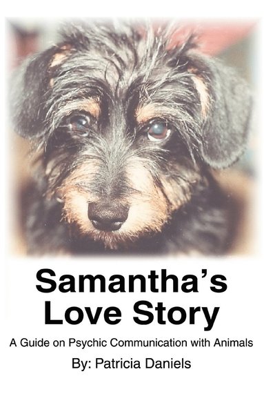 Patricia Daniels - Samantha's Love Story, Häftad