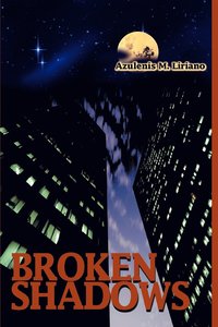 bokomslag Broken Shadows