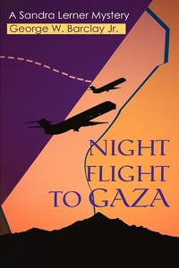 bokomslag Night Flight to Gaza