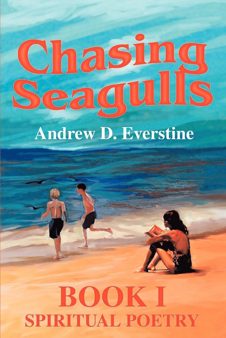 Chasing Seagulls 1